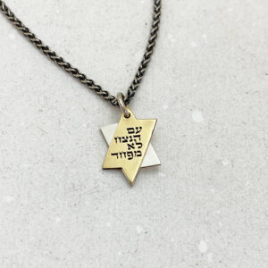 Star of David gold and silver necklace